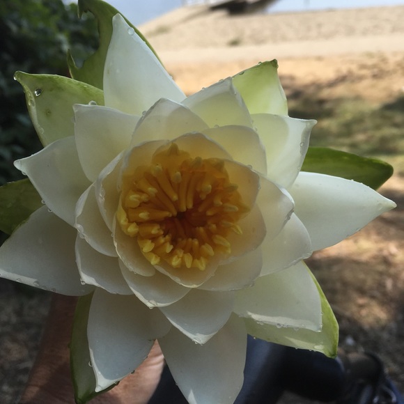 Meet your Posher, Kelly - Picture 1 of 1